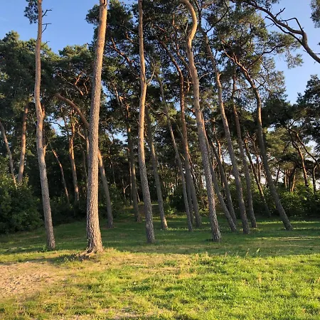 Zakatek Dla Duszy * Ślesin